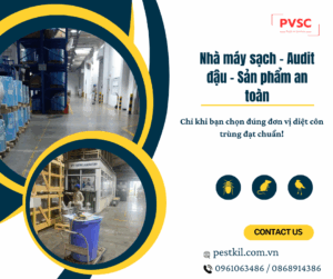 Diệt côn trùng nhà xưởng: Đừng bỏ qua đơn vị đạt chuẩn kiểm định