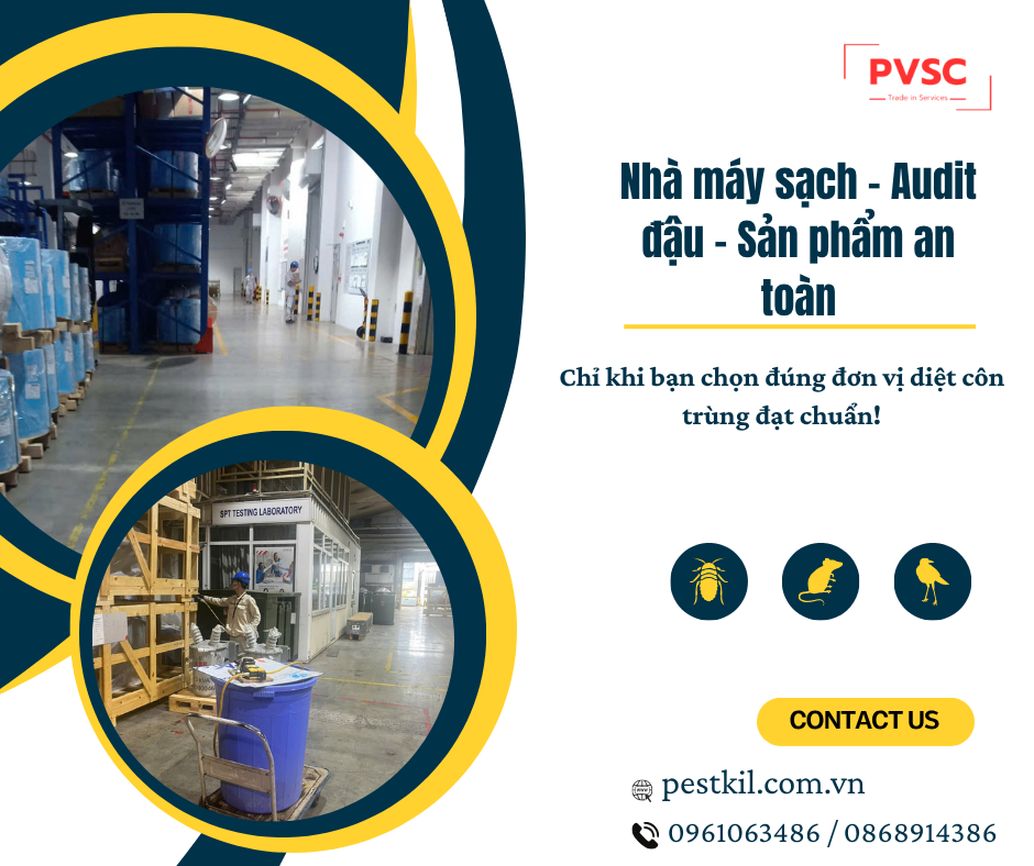 Diệt côn trùng nhà xưởng: Đừng bỏ qua đơn vị đạt chuẩn kiểm định