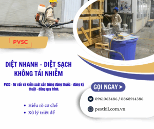 Cơ chế tác động của thuốc diệt muỗi, gián, kiến: Tác dụng nhanh hay tồn lưu mới hiệu quả?