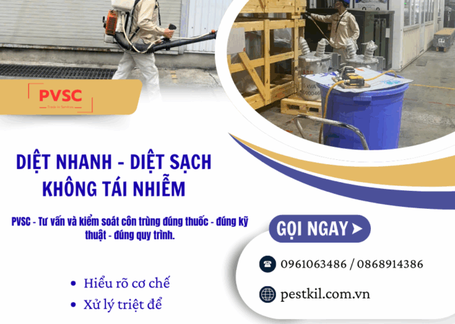 Cơ chế tác động của thuốc diệt muỗi, gián, kiến: Tác dụng nhanh hay tồn lưu mới hiệu quả?