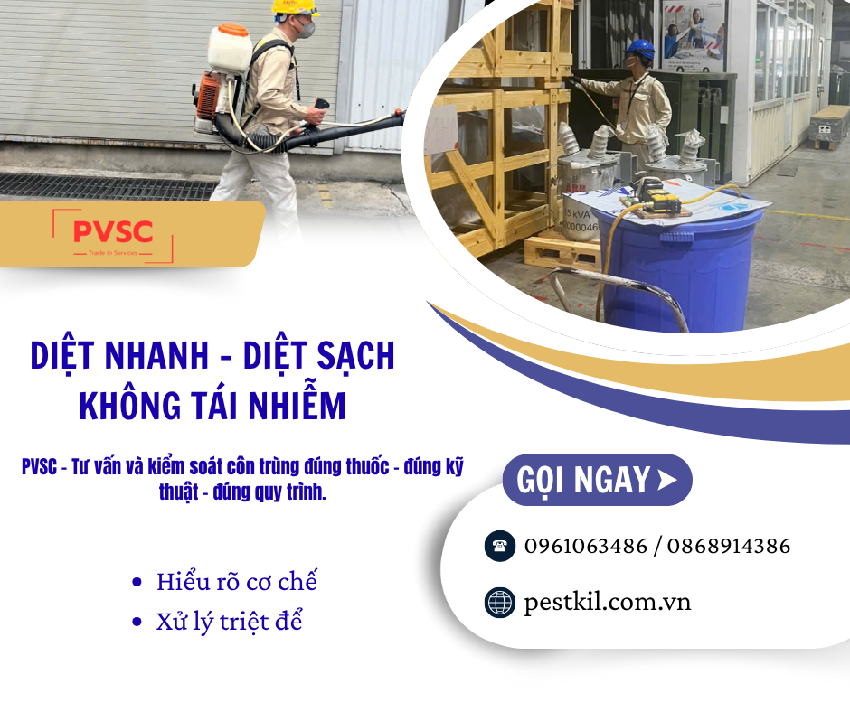 Cơ chế tác động của thuốc diệt muỗi, gián, kiến: Tác dụng nhanh hay tồn lưu mới hiệu quả?