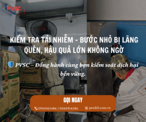 Kỹ thuật kiểm tra tái nhiễm côn trùng: Bước quan trọng bị bỏ quên