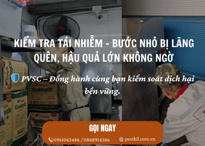Kỹ thuật kiểm tra tái nhiễm côn trùng: Bước quan trọng bị bỏ quên