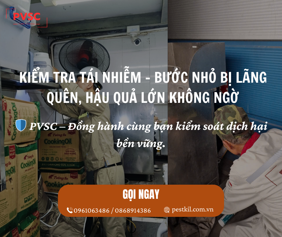 Kỹ thuật kiểm tra tái nhiễm côn trùng: Bước quan trọng bị bỏ quên