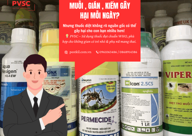 Làm sao để diệt côn trùng hiệu quả mà vẫn đảm bảo sức khỏe trẻ nhỏ?