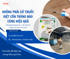 Sự khác biệt giữa thuốc diệt côn trùng dạng xịt, dạng bột và dạng dung dịch