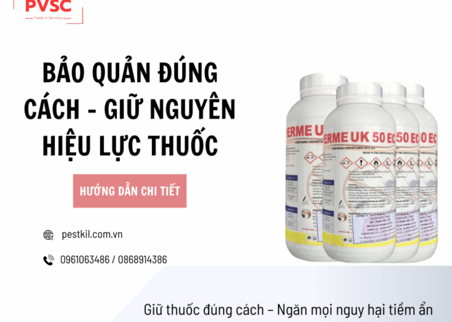 Bảo quản thuốc diệt côn trùng như thế nào để không gây nguy hại?