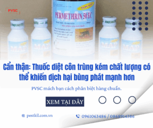 Cách nhận biết thuốc diệt côn trùng kém chất lượng trên thị trường