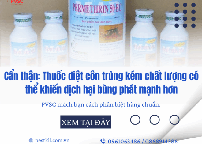 Cách nhận biết thuốc diệt côn trùng kém chất lượng trên thị trường