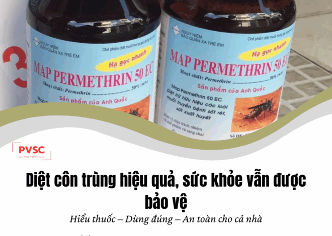 Sử Dụng Thuốc Diệt Côn Trùng Như Thế Nào Để Không Gây Hại Cho Sức Khỏe?