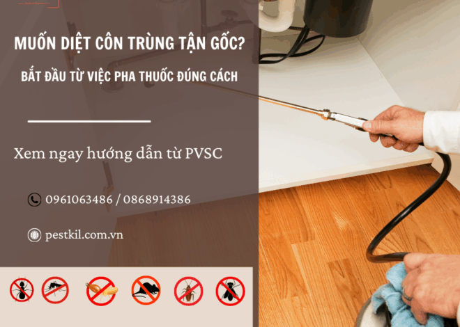 Những Việc Cần Làm Trước Và Sau Khi Pha Thuốc Diệt Côn Trùng