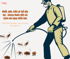 An toàn khi phun thuốc diệt côn trùng: Những điều cần biết