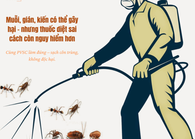 An toàn khi phun thuốc diệt côn trùng: Những điều cần biết
