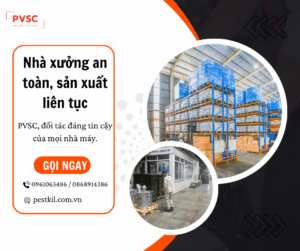 Hướng dẫn pha chế thuốc diệt côn trùng an toàn tại nhà/trong nhà xưởng