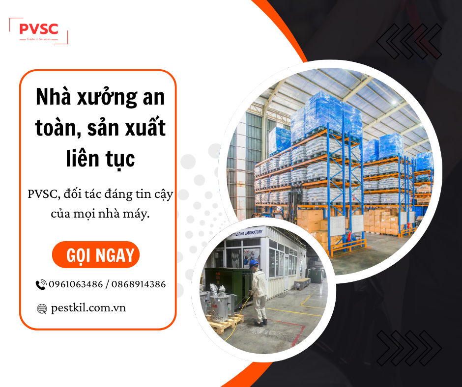 Hướng dẫn pha chế thuốc diệt côn trùng an toàn tại nhà/trong nhà xưởng