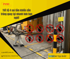 Cảnh báo: Những sai lầm khi chọn dịch vụ diệt côn trùng không uy tín