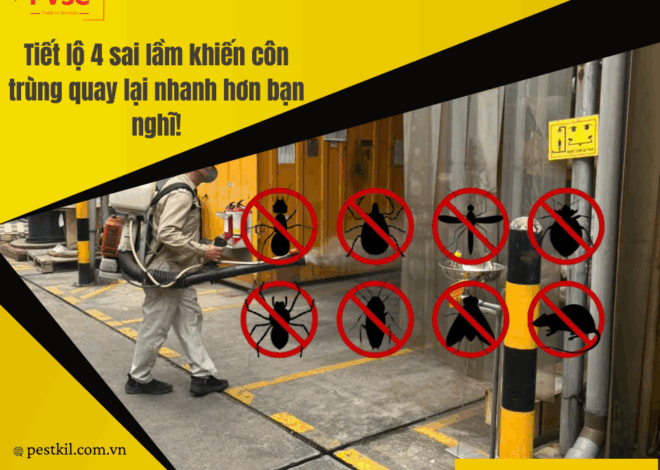 Cảnh báo: Những sai lầm khi chọn dịch vụ diệt côn trùng không uy tín