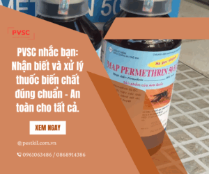 Cách nhận biết thuốc diệt côn trùng bị biến chất  và xử lý ra sao?