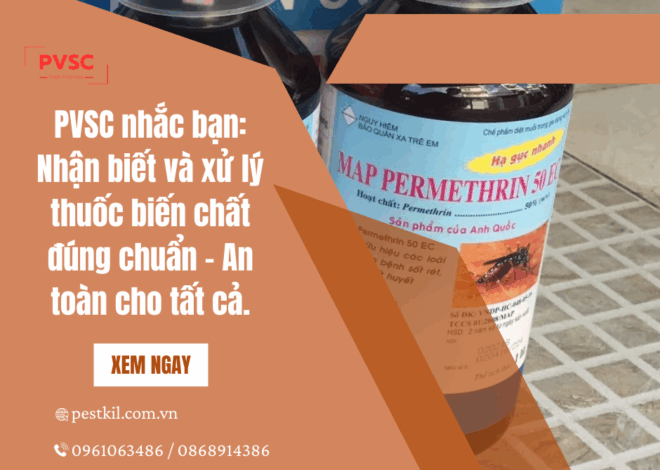 Cách nhận biết thuốc diệt côn trùng bị biến chất  và xử lý ra sao?