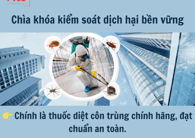 Thuốc Diệt Muỗi, Côn Trùng Chuẩn Quốc Tế – An Toàn Cho Con Người Và Môi Trường