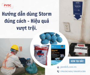Hướng Dẫn Sử Dụng Bả Chuột Storm – BASF An Toàn Trong Nhà Máy Và KCN