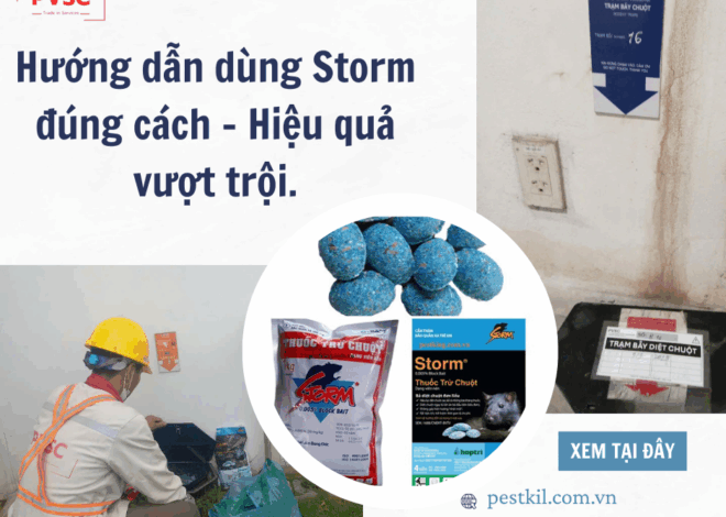 Hướng Dẫn Sử Dụng Bả Chuột Storm – BASF An Toàn Trong Nhà Máy Và KCN