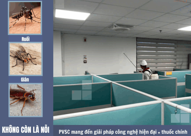 Diệt muỗi, ruồi, gián hiệu quả với công nghệ và thuốc chính hãng