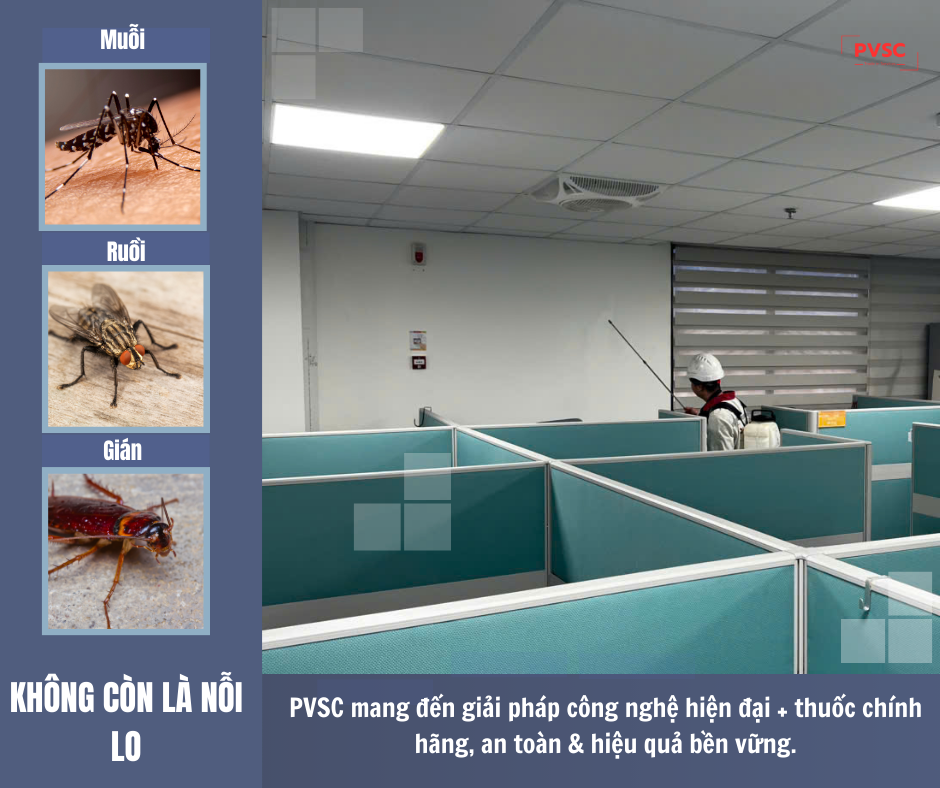 Diệt muỗi, ruồi, gián hiệu quả với công nghệ và thuốc chính hãng