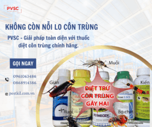 Các Loại Thuốc Diệt Côn Trùng Được Sử Dụng Nhiều Nhất Trong Nhà Máy & Kho Xưởng
