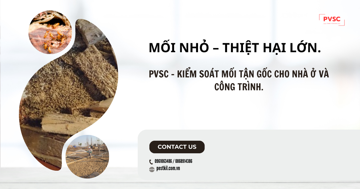 Diệt mối tận gốc không đục phá ,hiệu quả & nn toàn