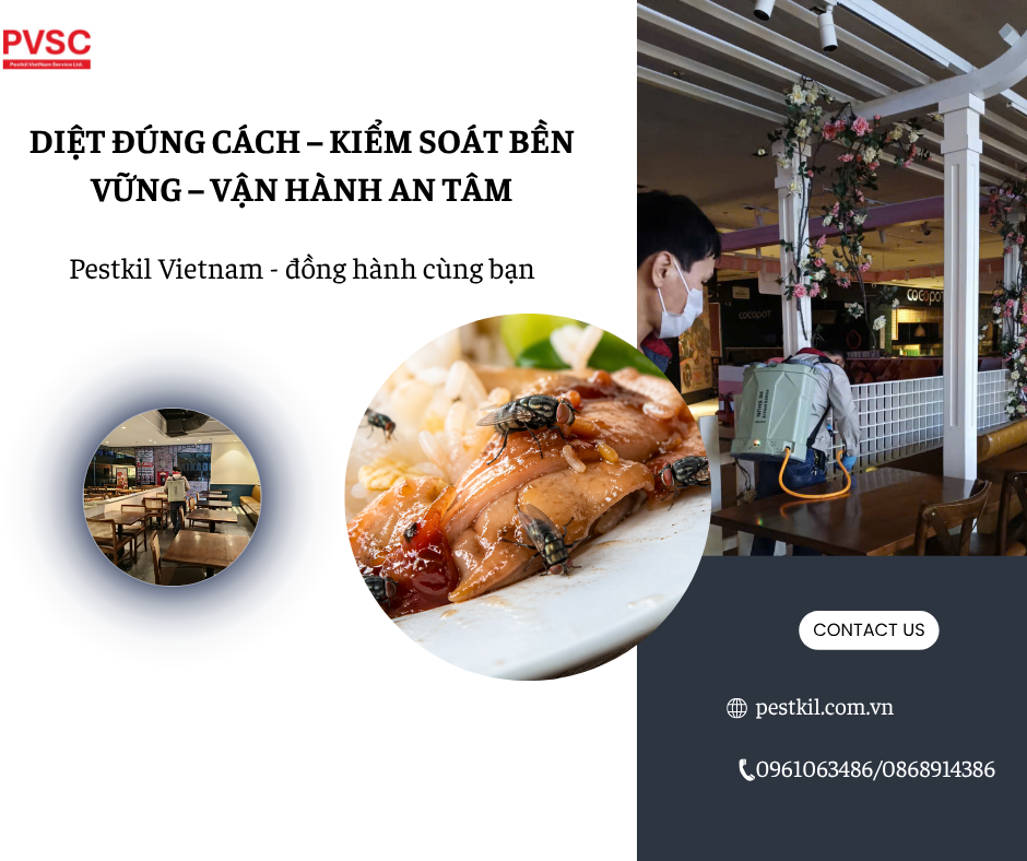 Công ty diệt ruồi tại Hà Nội – PVSC