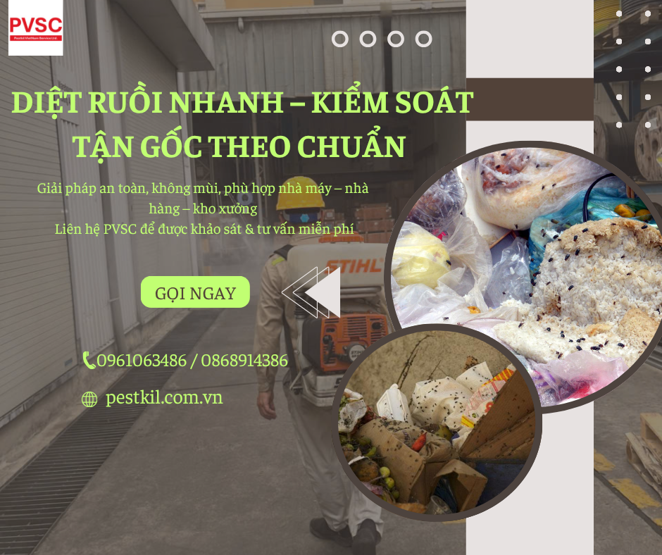 Diệt ruồi nhanh 24h, Không mùi, Không độc hại, Bảo hành dài hạn