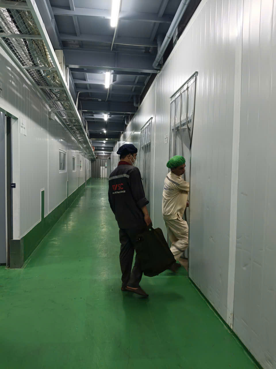 Công ty diệt ruồi Pestkil Vietnam xử lý triệt để, hiệu quả lâu dài