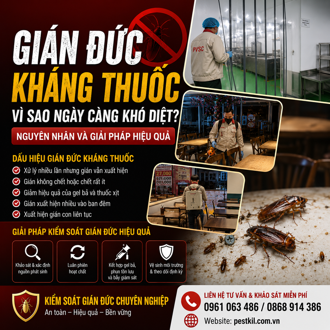 Cơ chế kháng thuốc của gián đức và giải pháp xử lý hiệu quả