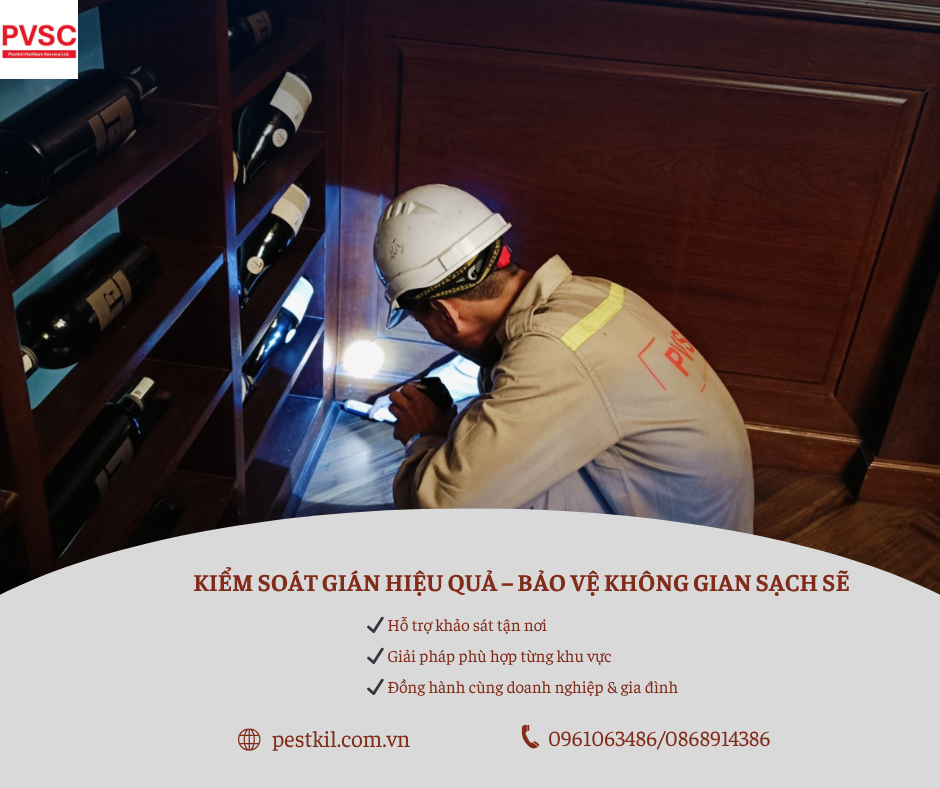 Dịch vụ diệt gián đức tại Bắc Ninh uy tín, xử lý tận gốc