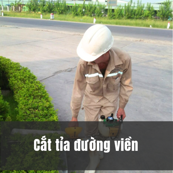 Cắt cây đường viền