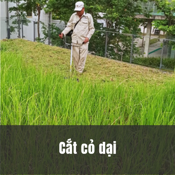 Cắt cỏ dại