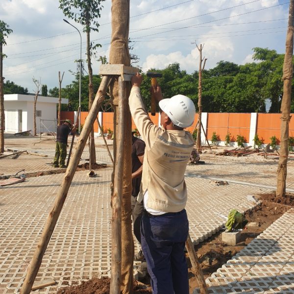 Dự án Trồng cây ABB_Pestkil VN (5)