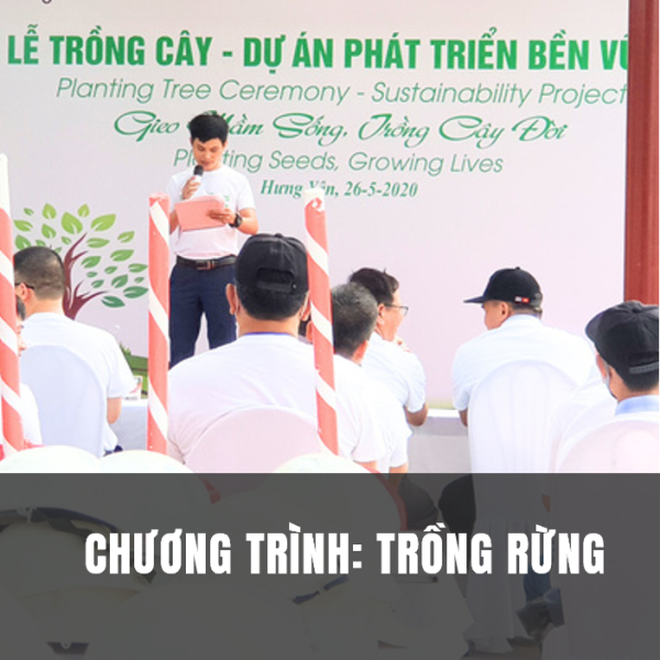 Dự án trồng rừng