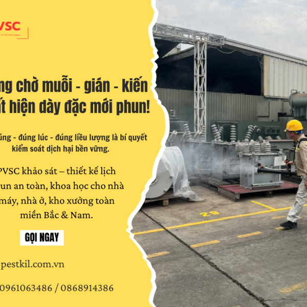 Đừng chờ muỗi – gián – kiến xuất hiện dày đặc mới phun!