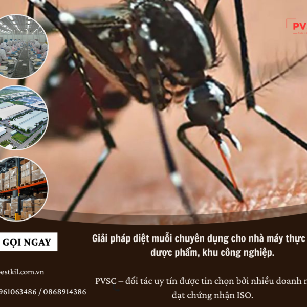 Giải pháp diệt muỗi chuyên dụng cho nhà máy thực phẩm, dược phẩm, khu công nghiệp. PVSC – đối tác uy tín được tin chọn bởi nhiều doanh nghiệp đạt chứng nhận ISO.
