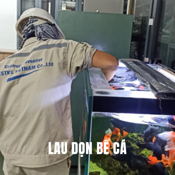Lau dọn bể cá
