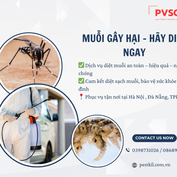 MUỖI GÂY HẠI - HÃY DIỆT NGAY
