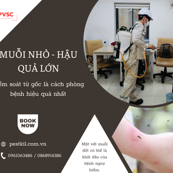 MUỖI NHỎ - HẬU QUẢ LỚN