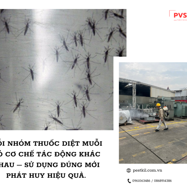 Mỗi nhóm thuốc diệt muỗi có cơ chế tác động khác nhau – sử dụng đúng mới phát huy hiệu quả.