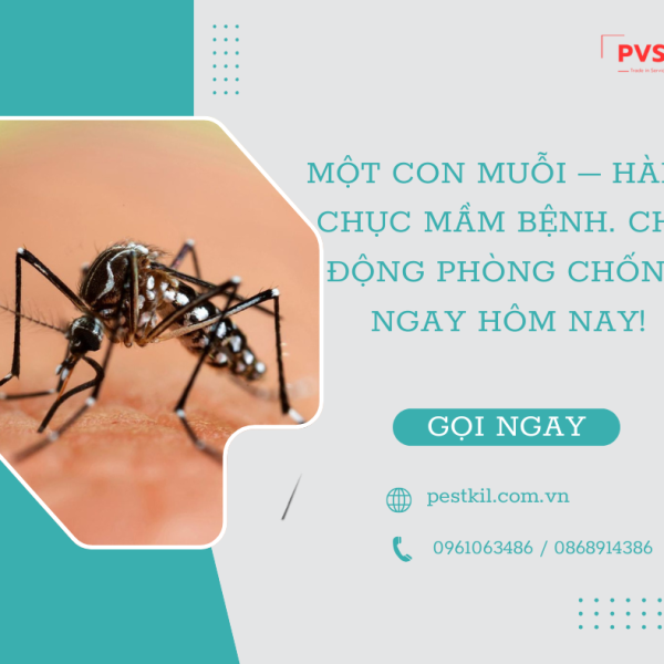 Một con muỗi