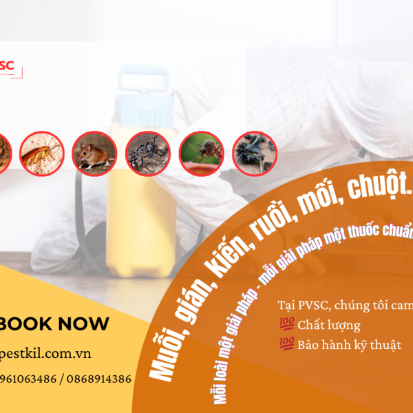 Muỗi, gián, kiến, ruồi, mối, chuột…