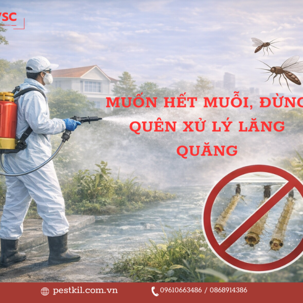 Muốn hết muỗi, đừng quên xử lý lăng quăng