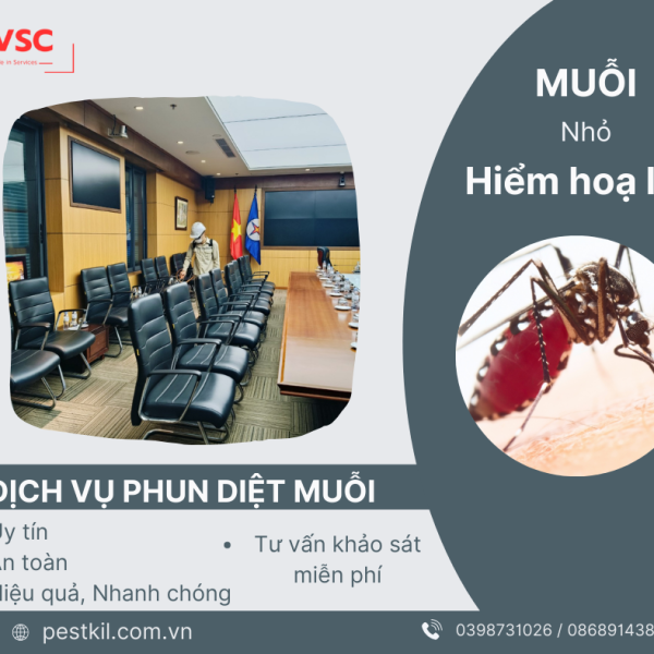 PHUN DIỆT MUỖI