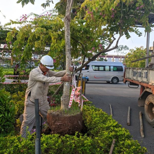 Pestkil Việt Nam _ công việc 01 (126)